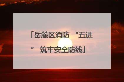 岳麓区消防 “五进” 筑牢安全防线