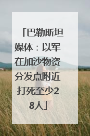 巴勒斯坦媒体：以军在加沙物资分发点附近打死至少28人