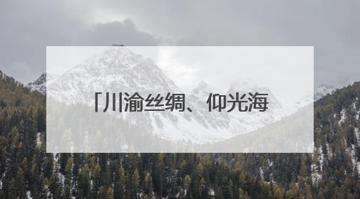 川渝丝绸、仰光海鲜3小时直达！成都双流⇌缅甸仰光全货运航线开通
