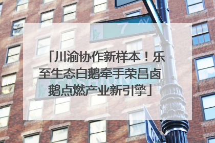 川渝协作新样本！乐至生态白鹅牵手荣昌卤鹅点燃产业新引擎