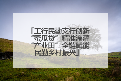 工行民勤支行创新“蜜瓜贷”精准滴灌“产业田”全链赋能民勤乡村振兴