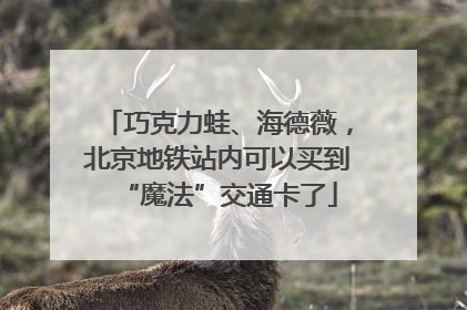 巧克力蛙、海德薇，北京地铁站内可以买到“魔法”交通卡了