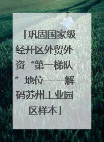 巩固国家级经开区外贸外资“第一梯队”地位——解码苏州工业园区样本