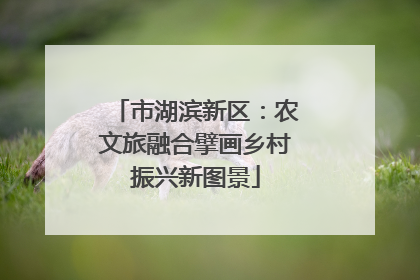 市湖滨新区：农文旅融合擘画乡村振兴新图景