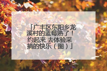 广丰区东阳乡龙溪村的蓝莓熟了！约起来 去体验采摘的快乐（图）