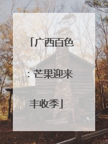 广西百色：芒果迎来丰收季