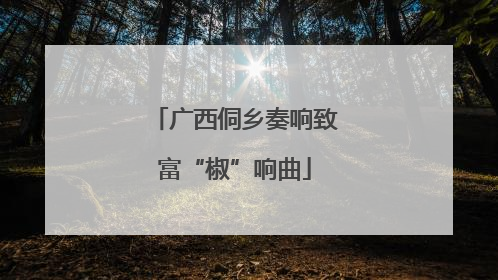 广西侗乡奏响致富“椒”响曲