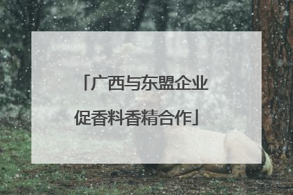 广西与东盟企业促香料香精合作