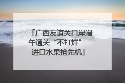 广西友谊关口岸端午通关“不打烊” 进口水果抢先机