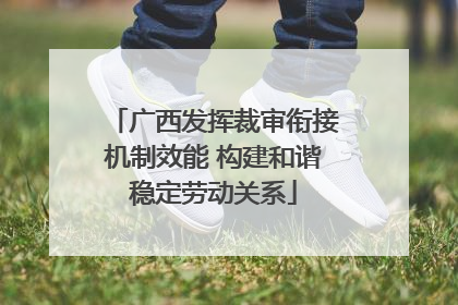 广西发挥裁审衔接机制效能 构建和谐稳定劳动关系