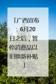 广西宣布：6月20日之后，暂停消费品以旧换新补贴
