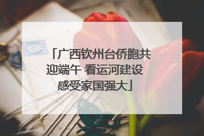 广西钦州台侨胞共迎端午 看运河建设感受家国强大