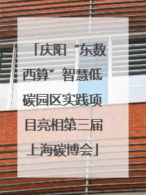 庆阳“东数西算”智慧低碳园区实践项目亮相第三届上海碳博会
