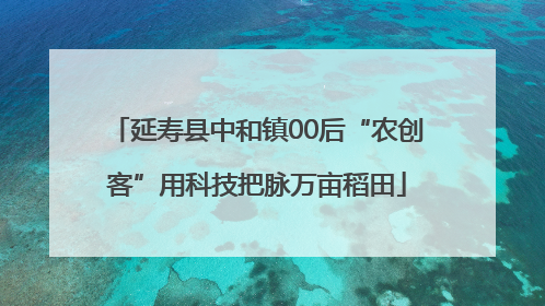 延寿县中和镇00后“农创客”用科技把脉万亩稻田