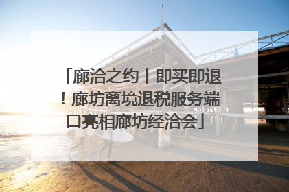 廊洽之约丨即买即退！廊坊离境退税服务端口亮相廊坊经洽会