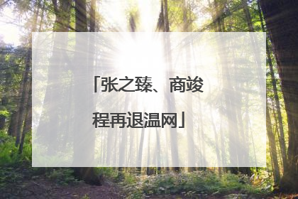 张之臻、商竣程再退温网