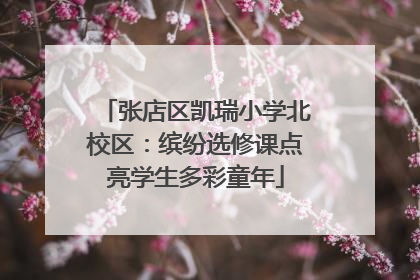 张店区凯瑞小学北校区：缤纷选修课点亮学生多彩童年