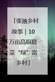 张掖乡村故事｜10万亩高原夏菜“绿”富乡村