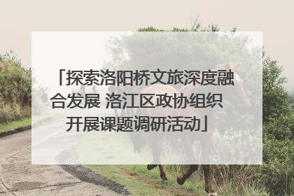 探索洛阳桥文旅深度融合发展 洛江区政协组织开展课题调研活动