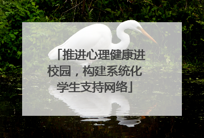 推进心理健康进校园，构建系统化学生支持网络