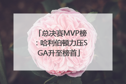 总决赛MVP榜：哈利伯顿力压SGA升至榜首