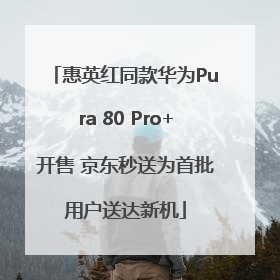 惠英红同款华为Pura 80 Pro+开售 京东秒送为首批用户送达新机