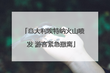 意大利埃特纳火山喷发 游客紧急撤离