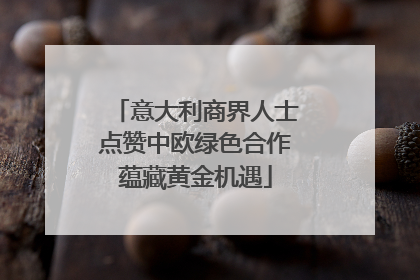意大利商界人士点赞中欧绿色合作蕴藏黄金机遇