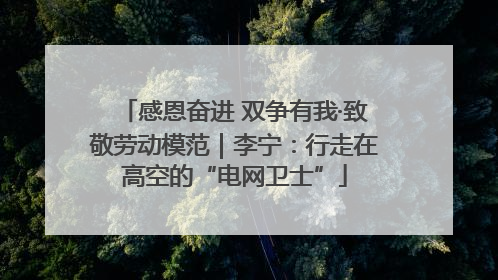 感恩奋进 双争有我·致敬劳动模范｜李宁：行走在高空的“电网卫士”