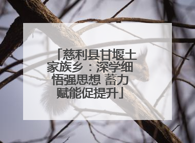 慈利县甘堰土家族乡：深学细悟强思想 蓄力赋能促提升