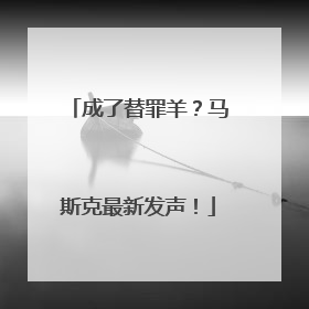 成了替罪羊？马斯克最新发声！