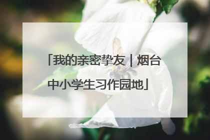 我的亲密挚友｜烟台中小学生习作园地