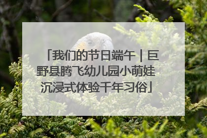 我们的节日端午｜巨野县腾飞幼儿园小萌娃沉浸式体验千年习俗