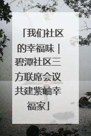 我们社区的幸福味｜碧潭社区三方联席会议共建紫岫幸福家