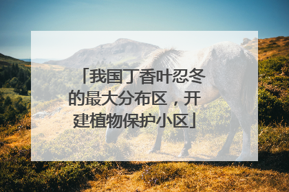 我国丁香叶忍冬的最大分布区，开建植物保护小区