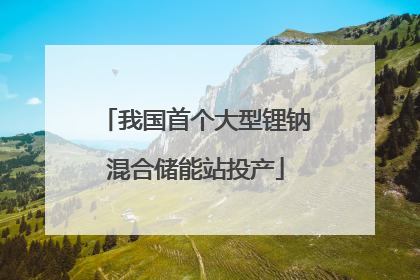 我国首个大型锂钠混合储能站投产