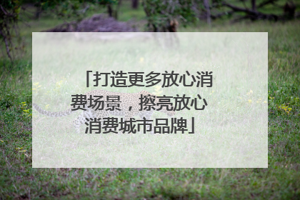 打造更多放心消费场景，擦亮放心消费城市品牌