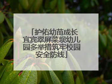 护佑幼苗成长 宜宾翠屏菜坝幼儿园多举措筑牢校园安全防线