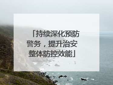 持续深化预防警务，提升治安整体防控效能