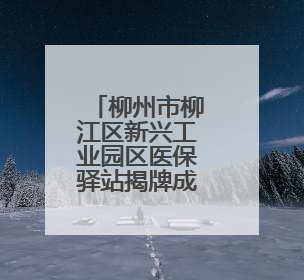 柳州市柳江区新兴工业园区医保驿站揭牌成立
