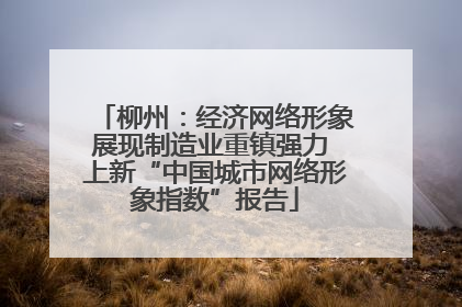 柳州：经济网络形象展现制造业重镇强力 上新“中国城市网络形象指数”报告