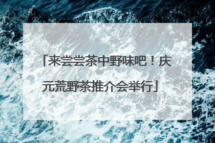来尝尝茶中野味吧！庆元荒野茶推介会举行