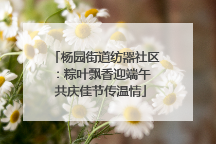 杨园街道纺器社区：粽叶飘香迎端午 共庆佳节传温情