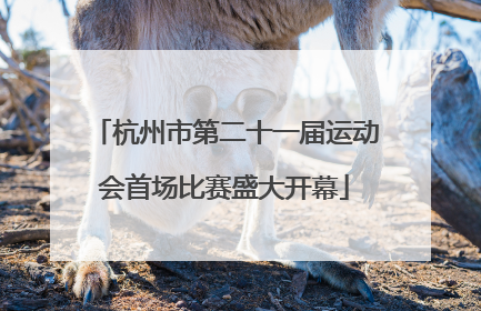 杭州市第二十一届运动会首场比赛盛大开幕