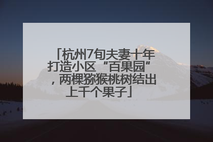 杭州7旬夫妻十年打造小区“百果园”，两棵猕猴桃树结出上千个果子