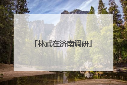 林武在济南调研