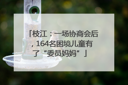 枝江：一场协商会后，164名困境儿童有了“委员妈妈”