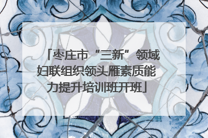 枣庄市“三新”领域妇联组织领头雁素质能力提升培训班开班