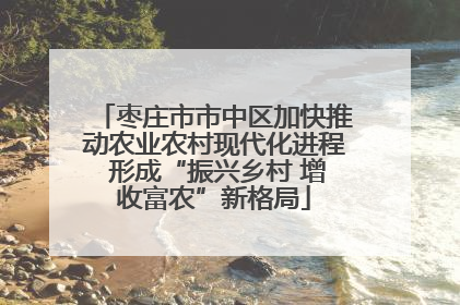 枣庄市市中区加快推动农业农村现代化进程 形成“振兴乡村 增收富农”新格局