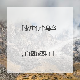 枣庄有个鸟岛，白鹭成群！